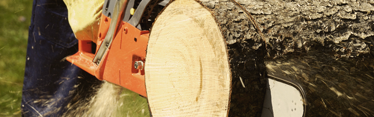 Chainsaw cutting a log